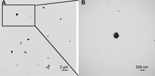 Figure S4 The TEM images of fullerene-C60 nanoparticles.Notes: (A) Morphology image of fullerene-C60. (B) The zoom of selected area in (A).Abbreviation: TEM, transmission electron microscopy.