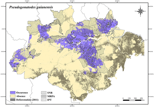 Figure 97. Occurrence area of Pseudogonatodes guianensis in the Brazilian Amazonia, showing the overlap with protected and deforested areas.