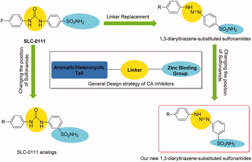 Figure 3. General CA inhibitor design structure and design strategy of the reported 1,3-diaryltriazen-substituted sulfonamide derivatives starting from SLC-0111.