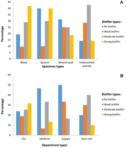 Figure 1 The distribution of different biofilm-producing A. baumannii phenotypes among (A) Clinical specimen’s types and (B) Hospital department’s types.