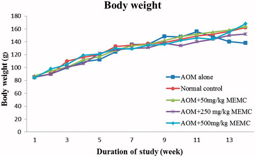 Figure 1. Body weight for male Sprague–Dawley rats for colon cancer chemopreventive study.