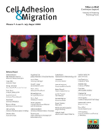 Cover image for Cell Adhesion & Migration, Volume 7, Issue 4, 2013