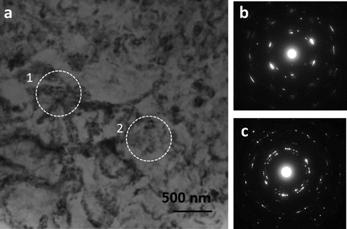 Figure 7. (a) Conventional TEM bright field image acquired from highly strained region of N=1/4 HPT sample. (b) Spreading arc spots in SADP acquired from region 1 in (a), indicating an unrecrystallized region. (c) Concentric rings in SADP acquired from region 2 in (a), indicating recrystallization in that region even though recrystallized grains are not seen.