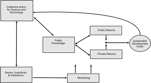 Figure 1. Evolutionary policy making in the context of innovation ecosystems. Framework adapted from McKelvey, Zaring, and Szucs (Citation2019), and Gifford and McKelvey (Citation2019)