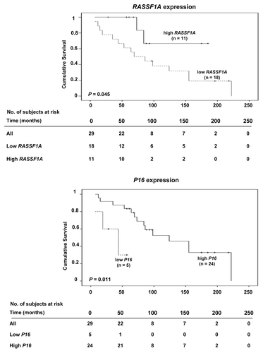 Figure 4. Kaplan-Meier survival curves comparing overall survival in SI-NET cases with high or low mRNA expression of RASSF1A (top) and P16 (bottom).