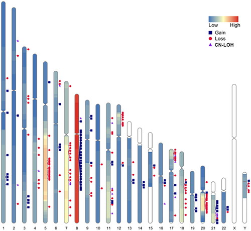 Figure 2. Frequency and location of gain, loss, and CN-LOH detected by SNP-A on each chromosome in 110 patients with myelodysplastic syndrome. Colourlessness on chromosomes indicates the absence of chromosomal aberrations in the region; Low indicates low frequency of chromosomal aberrations; high indicates high frequency of chromosomal aberrations; each marker indicates the intermediate site of chromosomal aberrations. CN-LOH: copy number neutral loss of heterozygosity.