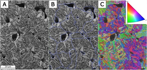 Figure 6. EBSD of an HT/FF cross-section after case hardening. (a) Band contrast image, (b) band contrast image with prior austenite grain boundaries, pores, and intergranular pores enhanced and (c) inverse pole figure. Indexing is based on FCC, BCC, and Fe3C.