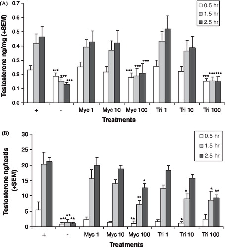 FIGURE 2  In vitro testosterone production. Adult (A) and neonatal (B) testis testosterone production after varied exposure to myclobutanil (Myc) and triadimefon (Tri). Error bars represent standard error mean. Asterisks indicate a significant difference (*p < 0.05, **p < 0.01, and ***p < 0.001) between the treatment group and the control group ((+), hCG with no chemical) at each time point. (−) refers to tissue not stimulated by hCG and without chemical treatment.