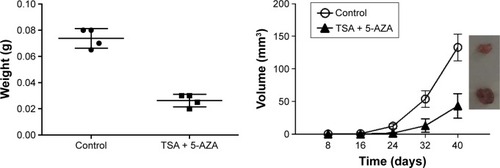 Figure 3 TSA and 5-AZA decreased the tumorigenic ability of NCI-H1975 cells in vivo.