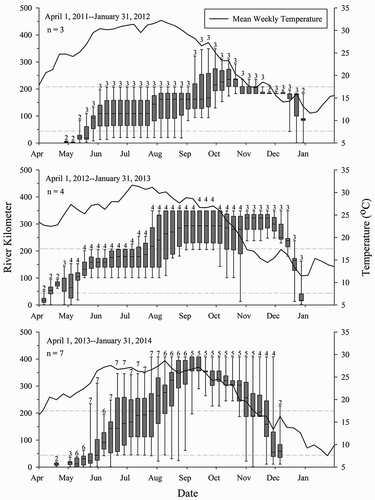 FIGURE 3. Box plots of mean weekly locations of Atlantic Sturgeon that made spring two-step migrations in the Altamaha River system, Georgia, where the box ends = 25th and 75th percentiles of ultrasonic tag detections, the line within box = median, error bars (whiskers) = minimum and maximum river kilometer (rkm) detections, and the number above the error bar = number of individual fish represented. Dashed lines denote head of tide at rkm 44 and the confluence at rkm 207. Mean weekly water temperature is from LTER GCE-7 mooring in the lower Altamaha River.