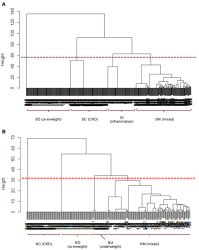 Figure 1 Cluster dendrogram of subjects by comorbidities. The “height” on the vertical axis indicates the dissimilarity/distance between clusters. The higher “height” represents less similarity between clusters. (A) Ever-smokers (n = 487) were first divided into SO cluster (overweight) and others, followed by SC (CKD) and SI (inflammation), in order. (B) Never-smokers (n = 276) were first divided into NC (CKD) and others, followed by NO (overweight) and NU (underweight), in order.