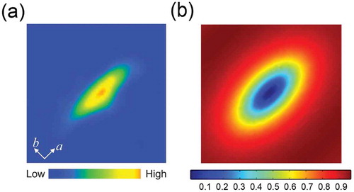 Figure 3. (a) Zero-bias conductance map of FeSe for a single vortex at 0.4 K and 1 T [34]. (b) Calculated profiles of superconducting order around vortex core with nematic order [35]