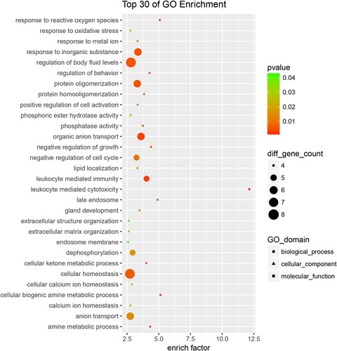 Figure 4. Down-regulated proteins with Go functional analysis of the RIF vs. RIS.