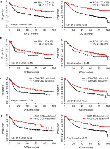 Figure 2. Tumour PD-L1, CD3 and CD8 marker expression are prognostic for improved survival.Kaplan-Meier estimates of overall survival (OS) and disease-free survival (DFS) according to (a) PD-L1 tumour cell (TC) positivity, (b) PD-L1 immune cell (IC) positivity, (c) CD3 + T cell densities, and (d) CD8+ cytotoxic T cell densities. The cut-offs used were PD-L1 TC and IC (≥ 1%), CD3 (500 cells/mm2) and CD8 (600 cells/mm2). Data were statistically analysed by Cox Proportional Hazards (*P < 0.05, **P < 0.01, ***P < 0.001).