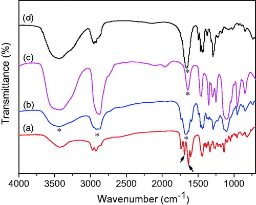 Figure 6. FT-IR spectra of pure GNA (a), GNA-NS (b), PEG2000 (c) and PVPK30 (d).