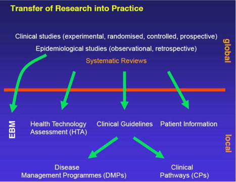 Figure 2 Transfer of research into practice (reproduced from the presentation by G. Antes).