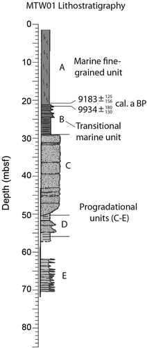 Figure 4. Lithostratigraphy of MTW01 (Moran, Hill, and Blasco Citation1989) and radiocarbon dates from O’Regan et al. (Citation2018). Units C–E were deposited in a progradational (deltaic) environment. Unit B was deposited during periods of rising sea level. Unit A was deposited in a marine environment.