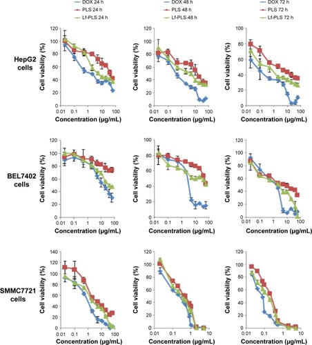 Figure 6 In vitro cytotoxicity of different DOX formulations in HepG2, BEL7402, and SMMC7721 cells after 24, 48, and 72 h, respectively.Note: Data represent the mean ± SD (n=3).Abbreviations: DOX, doxorubicin; h, hours; Lf-PLS, lactoferrin-modified PEGylated liposome; PEG, polyethylene glycol; PLS, PEGylated liposome; SD, standard deviation.