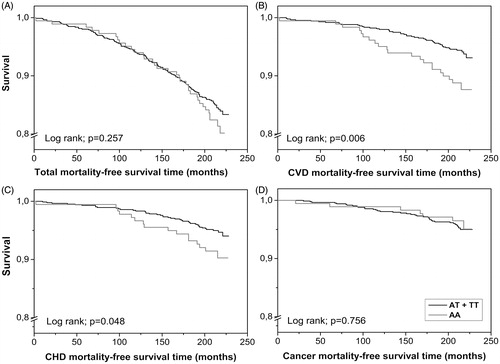 Figure 1. The Kaplan–Meier curves of total, CVD, CHD, and cancer mortality. The graph includes both sexes together. The survival differs statistically significantly with respect to both CVD and CHD mortality.