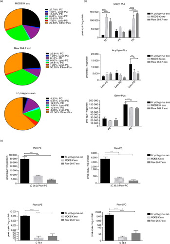 Fig. 3.  Nematode-derived exosomes reveal a unique phospholipid profile compared with murine exosomes. (a) Overview of the global PL content of nematode and murine exosomes. Lipid classes are reported as a percentage of the total PL content. Ether-linked phospholipids (alkyl–acyl, lyso and alkenyl forms) are globally represented. Quantities of the major PLs classes (b) and plasmalogens (c) in nematode versus mouse exosomes. Data correspond to the mean±SD (n=3 biological replicates for nematode- and MODE-K-derived exosomes and n=2 biological replicates for Raw 264.7 exosomes). **p<0.01, **p<0.001, ****p<0.0001 based on ANOVA and Tukey's multiple comparisons test.