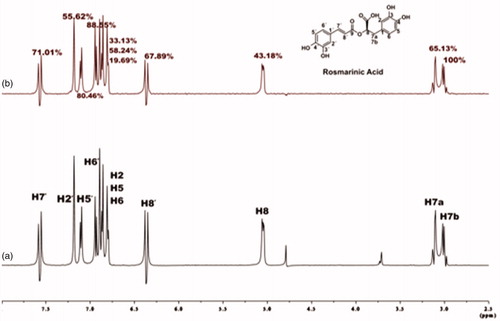 Figure 3. (a) 1H NMR reference spectrum of the complex rosmarinic acid (2 mM) – BSA (20 μM) in Tris-d11 buffer 10 mM, pH = 7.4 with 600 μL D2O. (b) STD difference NMR spectrum of the complex rosmarinic acid–BSA. The percentages values show the STDAMP for all the protons of rosmarinic acid.