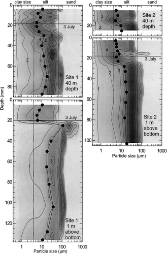 FIGURE 7. Particle size distributions (after CitationBeierle et al., 2002) in sediment traps at sites 1 and 2 (Fig. 6). Values are in percent in 0.25 phi intervals; isopleth interval is 1%. Also shown is the geometric mean grain size (dots). Deposition began on 4 June and ended on 8 August when the traps were recovered. Reservoirs on 3 trap pairs were replaced on 3 July, providing a time marker as shown