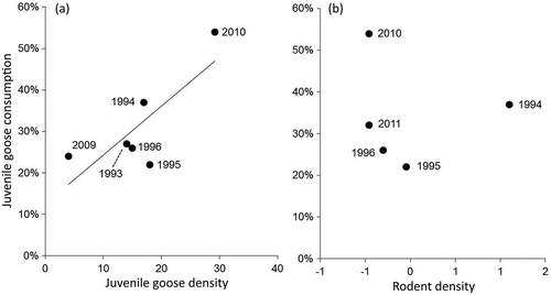 Figure 4. The proportion of juvenile geese in the Arctic fox diet was affected by that year’s density of (a) juvenile geese (km‒1; R2 = 0.620), but not (b) lemmings (log-transformed ha‒1). Diet contributions reflect the modal diet estimate from SIAR output.