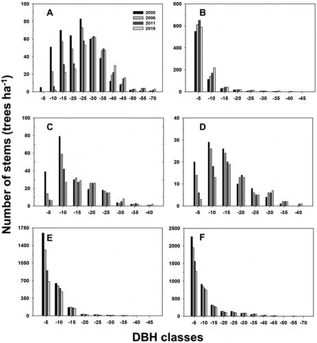 Figure 3. Diameter at breast height (DBH) class distributions of the species in the permanent plot, (A) Quercus serrata, (B) Chamaecyparis obtusa, (C) Carpinus tschonoskii, (D) Carpinus laxiflora, (E): other tree species, and F: all tree stems.