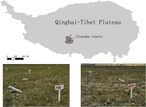 Figure 1. Location of study area and experimental sites on the Tibetan Plateau.