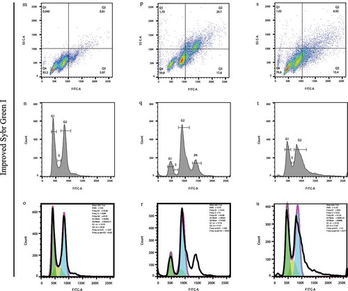 Figure 2. (Continued)