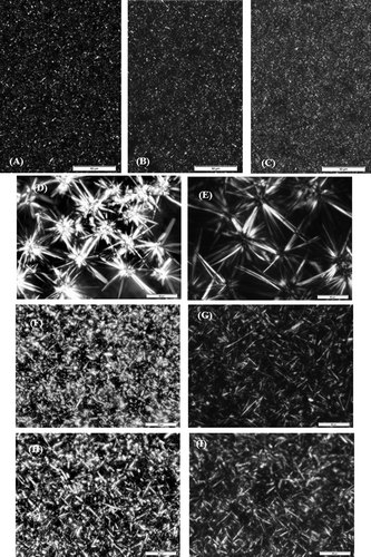 Figure 3. Polarized light micrograph of the crystal structure obtained under static isothermal crystallization at 17.5°C, for 3 h (PMF [A],PMF0.5[B], PMF1.0[C]), and at 25° C for 1 day (PMF [D], PMF0.5[F], PMF 1.0[H]) and 7 days (PMF [E], PMF0.5 [G], PMF1.0 [I]), magnification of 40x (scale bar = 50 μm).