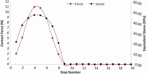 Figure 6. The magnitude of equivalent stress and contact force at different steps after impact (height of 2 m).