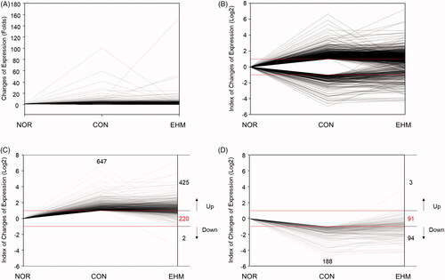 Figure 6. Line plot of alterations in liver gene expression in hyperlipidemic mice. Raw fold values (A) for gene expression compared with that in the NOR group were converted to log values (B) for each differentially expressed gene, and the numbers of up-regulated (C), down-regulated (D), and restored (C, D) genes were reported. NOR: normal diet-fed control mice, CON: HFD-fed hyperlipidemic mice, EHM: HFD-fed and EHM-administered mice.