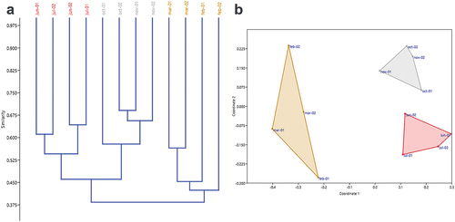 Figure 7. Classification and ordination of the spider community samplings carried out in the “Guillermo Piñeres” Botanical Garden: (a) similarity dendrogram; (b) non-metric multidimensional scaling (nMDS). Note the conformation of three groups: Dry season (blue, Feb-1, Feb-2, Mar-1 and Mar-2), Transition season (green, Jun-1, Jun-2 and Jul-1 and Jul-2), and Rainy Season (red, Oct-1, Oct-2, Nov-1 and Nov-2).