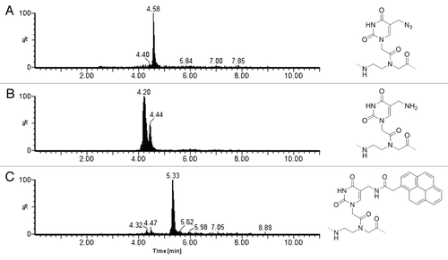 Figure 2. UPLC-ESI extracted ion current (XIC) traces of the cleaved resin bearing: (A) the azide function, (B) amine function after reduction with PMe3 (peak at 4.40 min corresponding to the iminophosphorane intermediate of the Staudinger reaction), (C) pyrene moiety after coupling. XIC traces were obtained by extrapolating the multicharge signal of the three different PNAs: 1342.5, 1329.5, 967.4, 895.2, 886.9, 725.7, 671.8, 665.3, 580.9 (for mass spectra see Figs. S1 and S2).