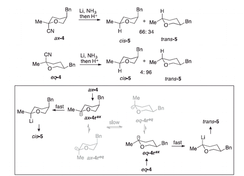 Scheme 2. MoC in decyanation reaction involving tetrahydropyranyl radicals (major reaction pathways depicted in black).