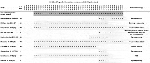 Figure 4. Standardization of CpG sites location on the exon 1 F of the NR3C1 gene promoter.