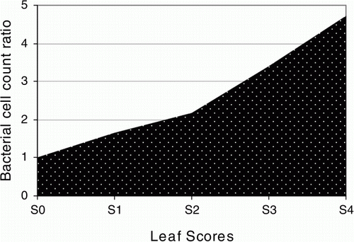 Figure 3.  Prediction of methylobacterial cell count ratio. Methylobacterial attendance and rates in the leaves of the Celosia plant were predicted to be consistent to the levels of the specific target gene expression in the test leaf samples.