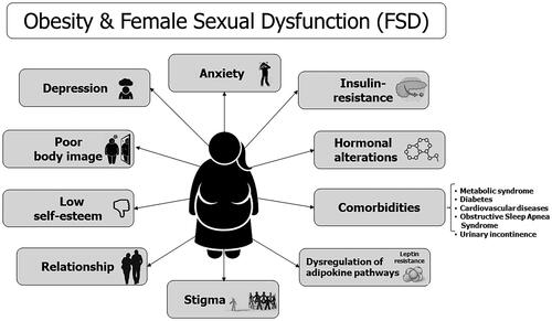 Figure 1. Biopsychosocial etiologies of female sexual dysfunction in postmenopausal women with obesity.