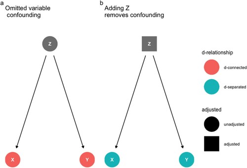 Figure 1. Suppose we are interested in estimating the causal effect of X (exposure) on Y (outcome). In each graph, the edges/arrows indicate directions of causal influence. Panels (a) and (b) present the same causal relationships: X does not influence Y, however, a third variable, Z, is a common cause both of X and Y. Panel (a) and (b) present two modelling choices: (a) Do not adjust for Z. This choice is indicated by the convention of a circular shape of the Z node. If our model were to omit to adjust for Z then X and Y would remain associated; however, this association would identify the causal effect of X on Y. Panel (b) presents a model that adjusts for Z. This is indicated by the convention of a square shape on the Z node. If our model were to adjust for Z, then the association between X and Y would be broken. Generalizing, to estimate the causal effect of an exposure on an outcome a statistical model of associations between variables needs to “close all back door paths” that may give rise to a non-causal association between the exposure and outcome. As we shall see, “closing all back door paths” between an exposure and outcome is necessary but not sufficient for causal inference. The remaining graphs follow the convention of a circular shape for an unadjusted covariate and a square shape for an adjusted covariate.