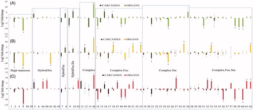 Figure 5. Abundance of N-glycan in Carcasses and Organs. Changes in the abundance of individual glycans are plotted on the Y-axis as log2 of the fold-difference at each of the exposure levels relative to control (irradiated samples/ control sample). (A) low dose: 2.25 mGy/day; (B) medium dose 21.01 mGy/day; (C) high dose 200 mGy/day). Numbers along the X-axis identify the indicated glycans, whose ID numbers and cartoon representations are in Table 1. Standard deviation of biological replicates (n = 3) is shown. Hybrid.Fuc: hybrid structure with fucose; Hybrid.Sia: hybrid structure with sialic acid; Hybrid.Fuc.Sia: hybrid structure with fucose and sialic acid; Complex: structure without the presence of fucose or sialic acid; Complex.Fuc: complex structure with fucose (core fucose and fucose on the antenna), Complex.Sia: complex structure with sialic acid; Complex.Fuc.Sia: complex structure with fucose and sialic acid. Light colors indicated N-glycans identified in Organs and dark colors in Carcasses. Asterisks indicate N-glycans with p-value <.05 after ANOVA and Tukey’s test.