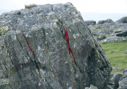 Figure 3. ▪Fissure stuffed with red wool. Photo Holger Hartung
