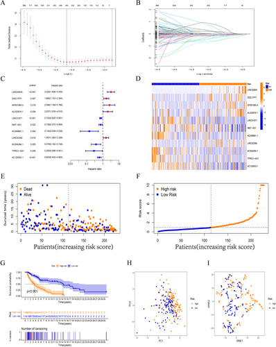 Figure 2 Construction and validation of risk model in the training set. (A, B) Altogether 19 lncRNAs were selected by LASSO regression. (C) Multivariate Cox regression analysis showed 11 independent prognostic lncRNAs. (D) Heatmap to show the expression of 11 lncRNAs between high- and low-risk groups in the training set. (E-F) Different patterns of survival status/time and distribution of sample risk score between the high-risk and low-risk groups in the training set. (G) Kaplan–Meier curve of high-risk and low-risk patients in the training set. (H) PCA analysis. (I) tSNE tses.
