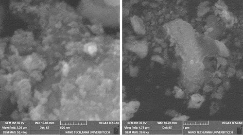 Figure 2. SEM images of ZnONPs synthesized from betel leaf extract.