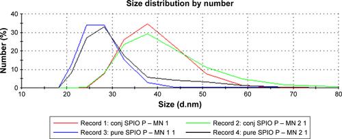 Figure S1 Dynamic light scattering measurements were taken to verify the bioconjugation between the anti-CA 19-9 antibodies and the magnetic nanoparticles.Notes: The standard protein method on the detector was utilized to generate a size distribution plot. The diameter of unconjugated magnetic nanoparticles was measured to be 25 nm, while that of the bioconjugated magnetic nanoparticles was 38 nm.Abbreviation: anti-CA, anti-cancer-antigen.