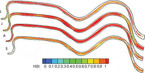 Figure 14 Habitat suitability index (HSI) distributions of the Chinese sucker (Procypris rabaudi) for 4 life stages under the optimal environmental scheme. (L = larval, J = Juvenile, A = Adult, S = Spawning).