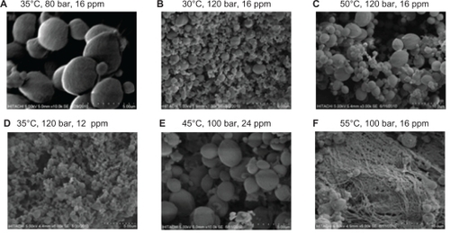 Figure 2 Scanning electron microscopic images of nanoencapsulated paracetamol inside L-polylactide at different process parameters.