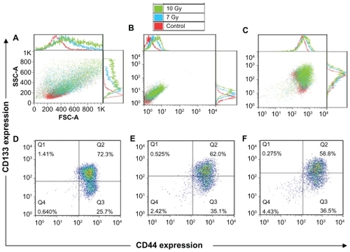 Figure 4 Forward and side scatter chart of the untreated and radiation treated (7 Gy and 10 Gy) FEMX-I cells (A). Flow charts of the same cells without antibody staining (autofluorescence) (B) and with CD133/CD44 markers (C). The expression profiles of CD133 and CD44 shown separately for untreated cells (D) and for cells irradiated with 7 Gy (E) and 10 Gy (F). The different colors of the dots in D, E, and F show the number of the overlapping dots: The red dots represent denser areas than the blue dots.