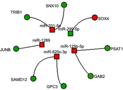 Figure 6 Integrated miRNA–mRNA regulatory networks.Notes: Integration of GEP and miRNA profiles. Circles and squares represent genes and miRNAs, respectively. Red and green indicate downregulation and upregulation, respectively.Abbreviation: GEP, gene expression profile.