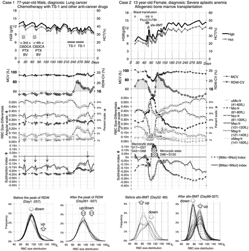 Figure 2. Time-series investigation of erythroid maturation disorders using the XE-5000 analyzer.Notes: linical problem: To identify macrocytic RBC changes associated with erythroid maturation disorders and the recovery phase from marrow suppression using time-series data.Main relevant results from superimposed RBC size distributions: [“-fr”=“fraction”].Case 1: From Day 1 to 257, Meg-fr increased, whereas Nor-fr decreased; from Day 261 to 330, Nor-fr, Mac-fr and Meg-fr fluctuated widely.Case 2: From Day 52 to 89, conditioning decreased the increased Mac-fr, and Mic-fr (reflecting transfused RBCs) increased to a peak value; from Day 89 to 327, Mac-fr and Nor-fr increased, whereas the peak in Mic-fr diminished.Inferred clinical significance of time-series differential indices:The effects of the DNA synthesis inhibitor (TS-1) medication were more evident in θMeg than in θMac without an overt macrocytic state of [θMac−θNor] > −0.02π in Case 1, whereas RBC immaturity appeared as two separate instances of the macrocytic state before BMT in Case 2. Additionally, there were a transient remarkable peak of the microcytic state of [θMic−θNor] > 0π and subsequent mild elevation in the [θMac–θNor] index after BMT in Case 2 (areas greater than the cut-off point are shaded.) The turning points of true changes in RBC size distribution related to clinical events such as chemotherapy and blood transfusion were visualized in graphs and were recognized easily. The spike-like changes observed in the [θMac−θNor] index, as indicated by down arrows in Case 1, might be considered amplified propagation of systematic error because of the presence of synchronized patterns in the RBC size differential graph, which might be induced by the minimal RBC size modification in vitro associated with drip infusion therapies, as shown in Figure 1.